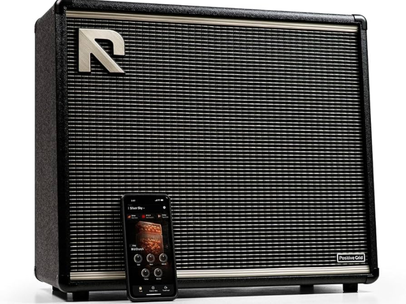 Positive Grid Reactor 100