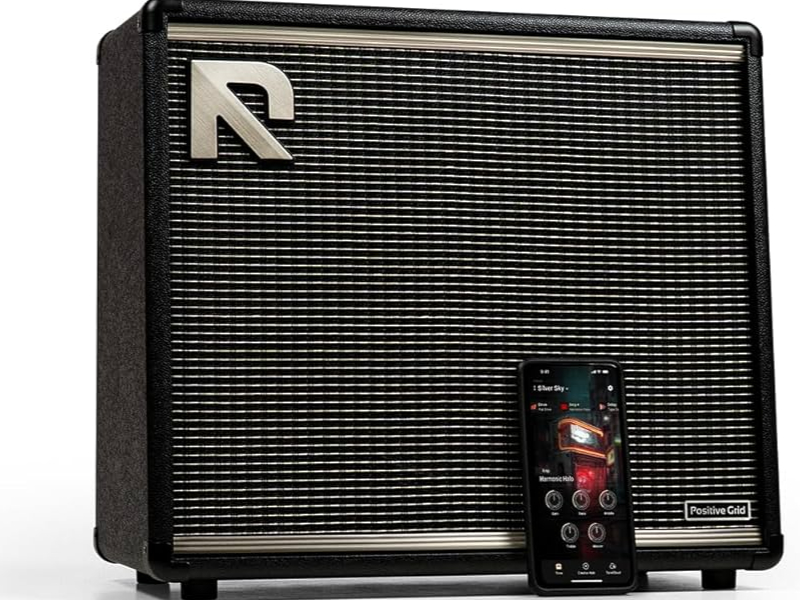   Positive Grid Reactor 50